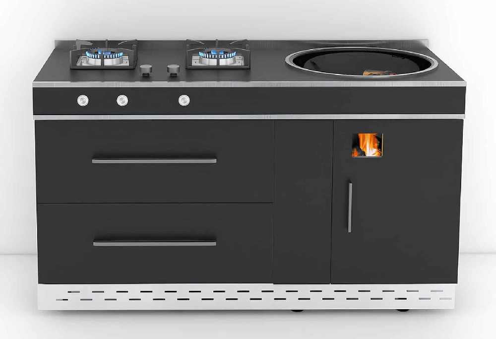 Dual fuel wood and gas cookstove with disinfection cabinet